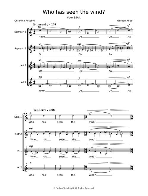 Who Has Seen The Wind - Gerben Rebel