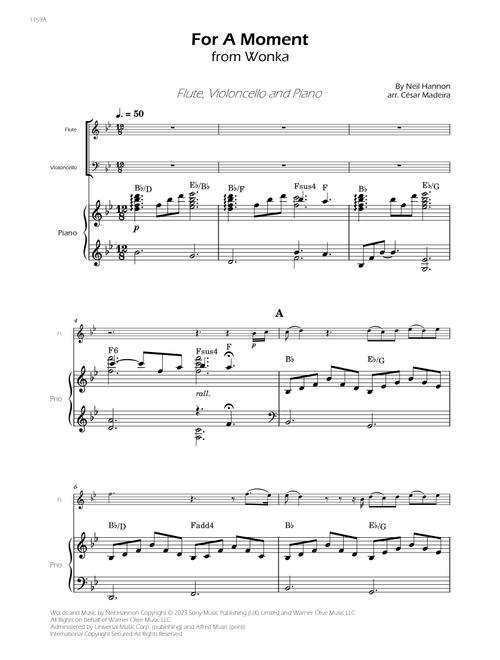 For A Moment (Arr. César Madeira) - Neil Hannon (Instrumental Duet and Piano)