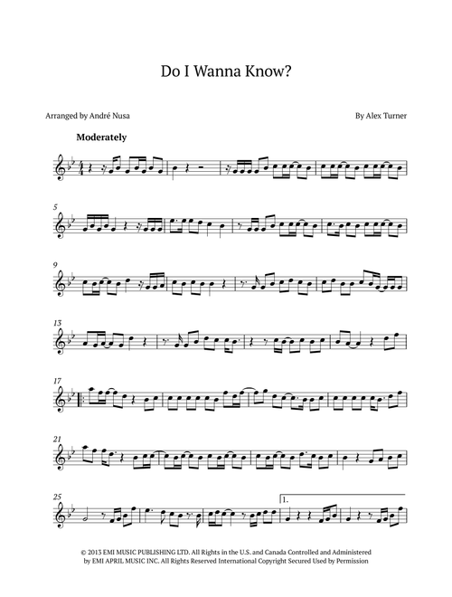 Do I Wanna Know? (Arr. André Nusa) - Arctic Monkeys (Flute Solo)