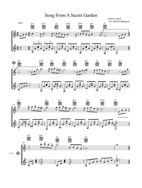 Song From A Secret Garden, Guitar Duet (Arr. Hamed Salehpour) (Instrumental Duet)