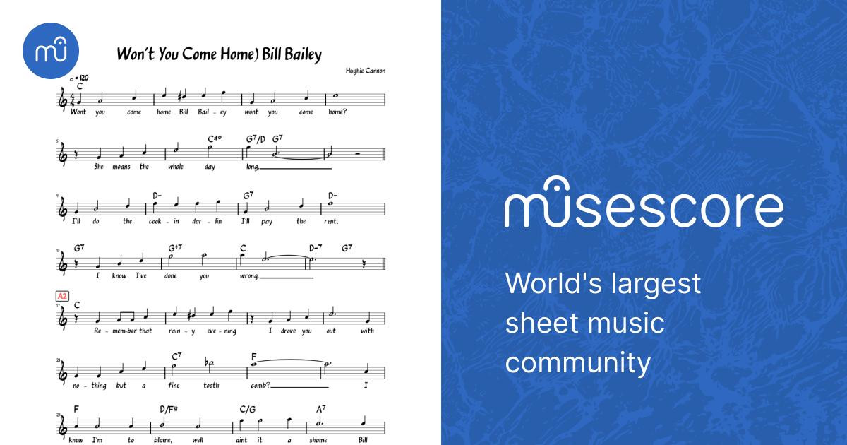 Bill Bailey (Lead sheet with lyrics ) Sheet Music with Chords for 