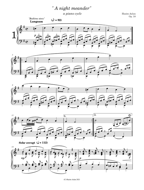 "A night meander" Op. 10