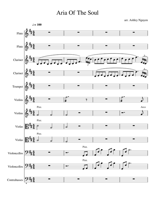 Aria Of The Soul/A Poem For Everyone's Souls