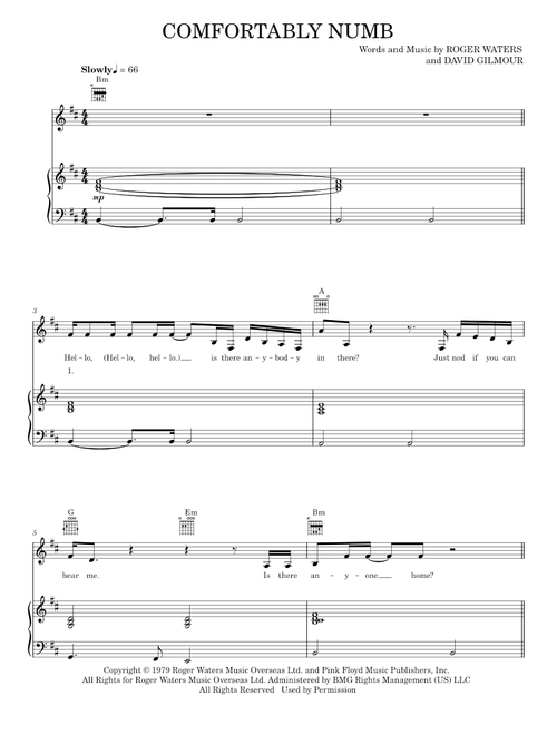 Comfortably numb - Pink Floyd (Piano-Vocal-Guitar)