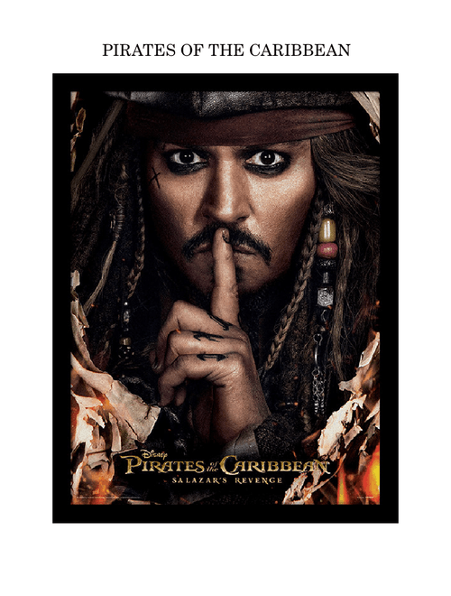 Pirate of The Caribbean (Checking)