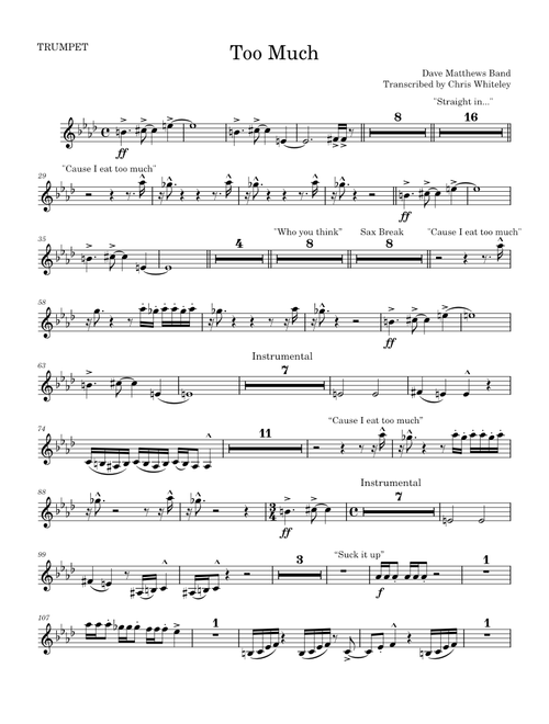 Too much – Dave Matthews Band