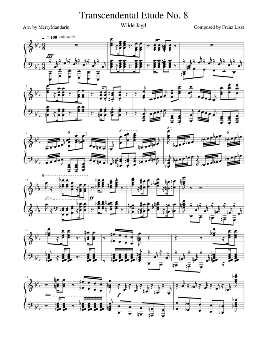 Transcendental Etude No. 8: Wilde Jagd – Franz Liszt Sheet