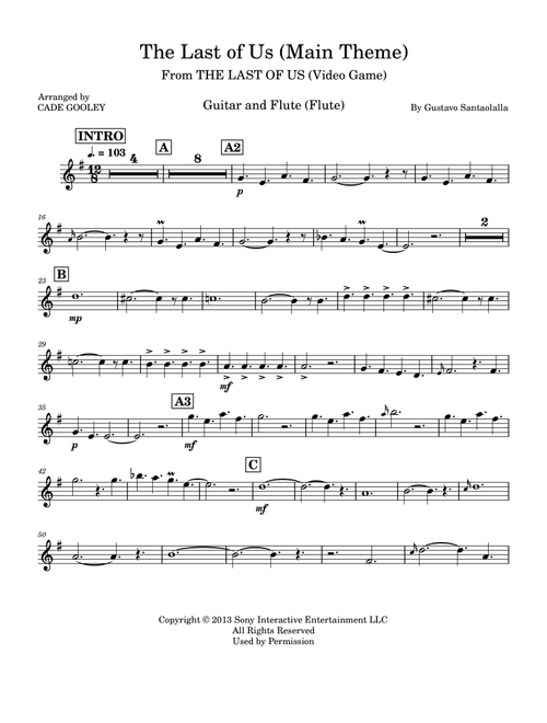 The Last Of Us (Arr. Cade Gooley) - Gustavo Santaolalla (Instrumental Duet)