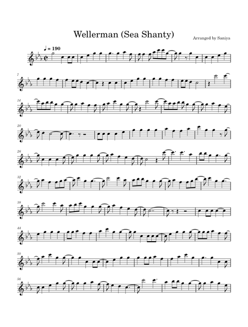 Wellerman – Misc Traditional (Flute)