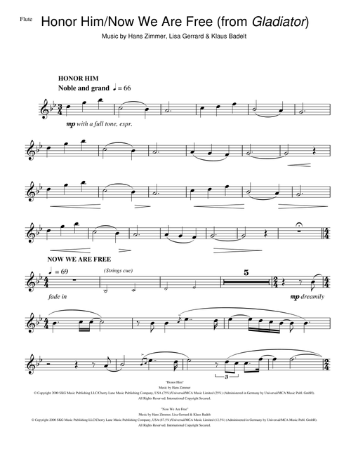Honor Him/Now We Are Free (from Gladiator) - Hans Zimmer (Flute Solo)