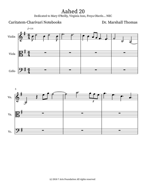 Aahed 20 - Celebrity Chamber Players (Small Ensemble)