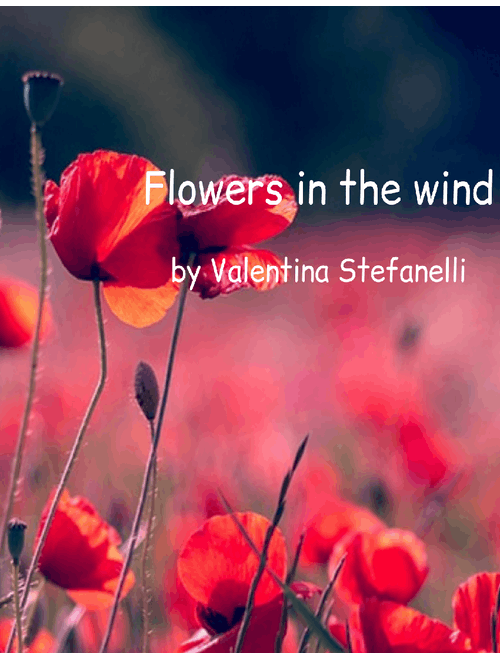 Flowers in the wind