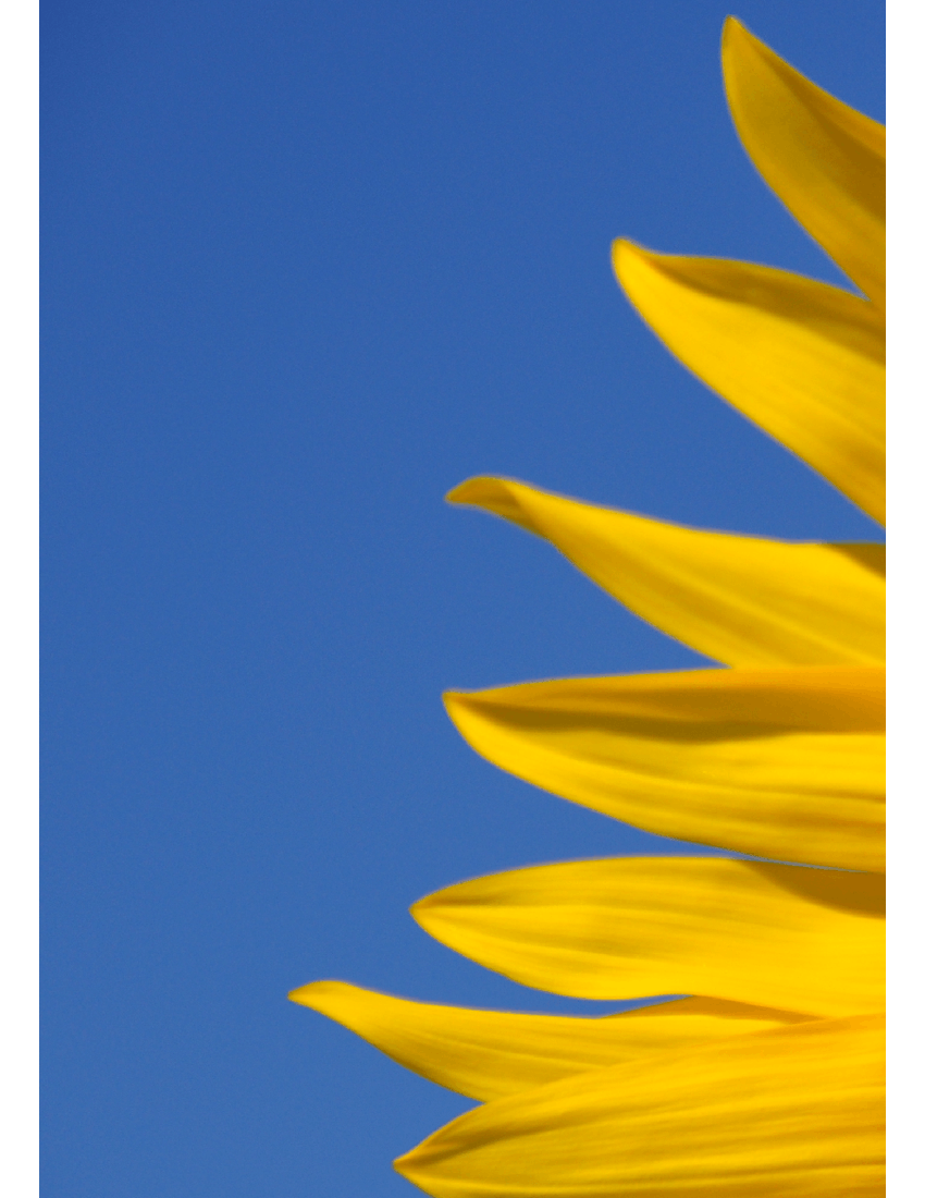 Milena Sheet music for Piano, Violin (Mixed Duet) | Musescore.com