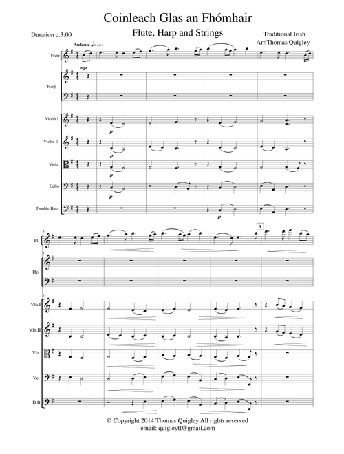 Coinleach Glas an Fhómhair (Arr. Thomas Quigley) - Traditional Irish (Chamber Orchestra)