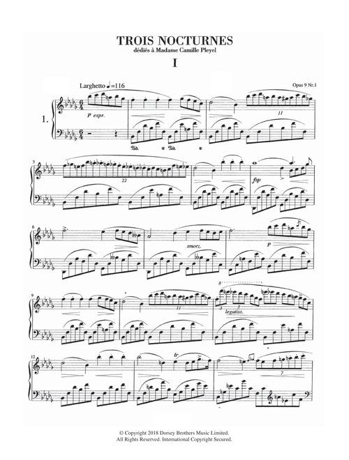 Nocturne in B Flat Minor, Op. 9, No. 1 - Frédéric Chopin (Piano Solo)