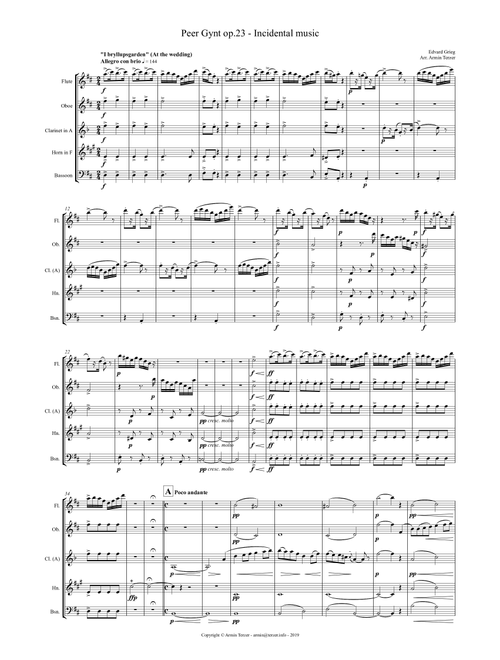 Peer Gynt (Arr. Armin Terzer) - Edvard Grieg (Woodwind Ensemble)