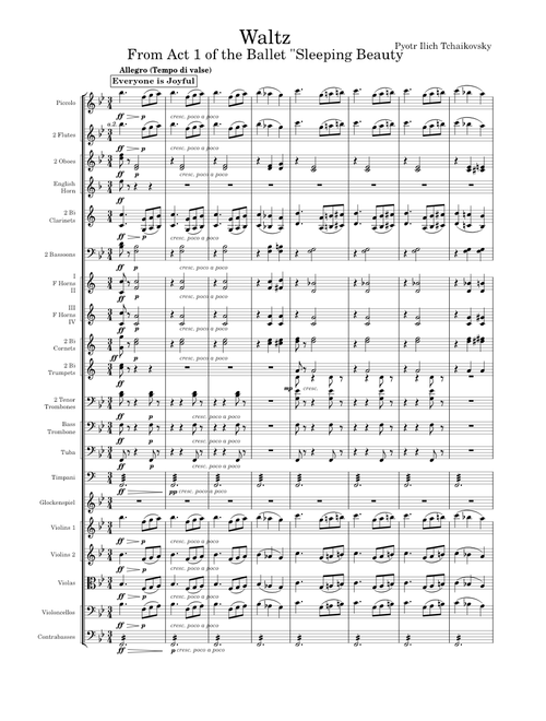 Sleeping Beauty Ballet Opus 66, Waltz (Act 1) - Pyotr Ilich Tchaikovsky