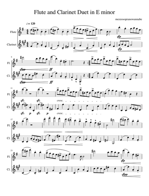 Flute and Clarinet Duet in E minor