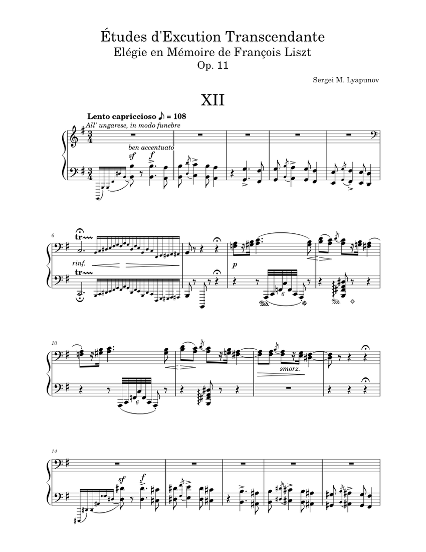 その他 Liszt:Solo Piano Music 8 [CD] Liszt: Totentanz (Version for Solo Piano) – Ficks Music