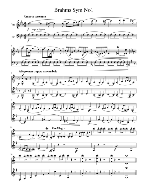 Brahms Sym No1