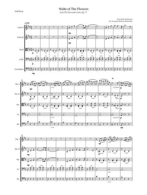 Waltz of The Flowers - from Nutcracker (P. I. Tchaikovsky) for String Quintet (Arr. Fernando Britto, Fabio Britto) - Piotr Ilitch Tchaikovsky (String Quartet)