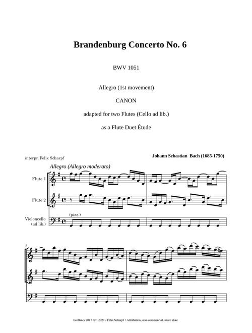 J. S. Bach - Brandenburg Concerto No. 6 (BWV1051) 1st mv. arr. as a Flute-Duet-Étude