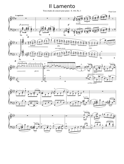Liszt - Trois Etudes de Concert No. 1 (Il Lamento)