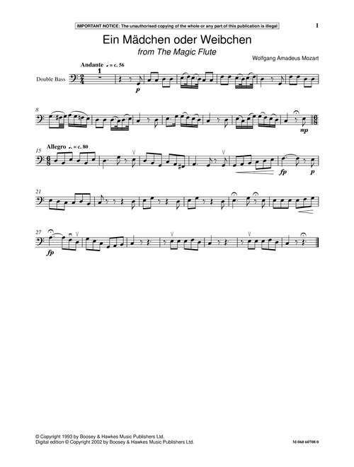 Ein Madchen Oder Weibchen (from The Magic Flute) - Wolfgang Amadeus Mozart (Instrumental Solo)