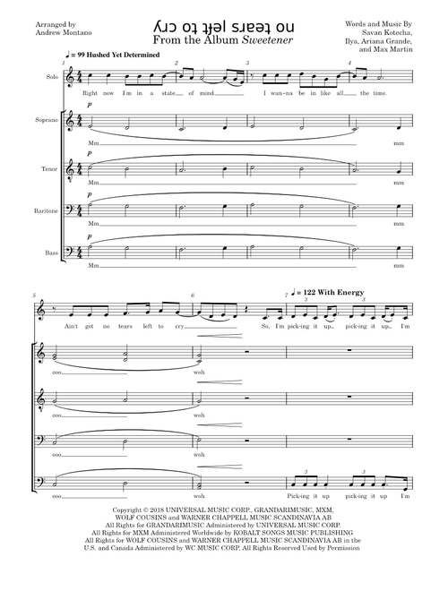 No Tears Left To Cry by Ariana Grande - A Cappella