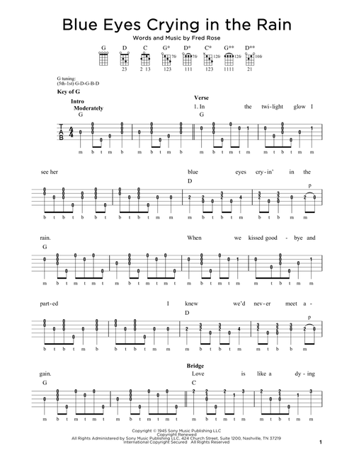 Blue Eyes Crying In The Rain - Willie Nelson, Elvis Presley (Banjo)