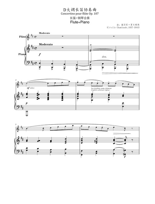 Concertino Op.107 - Cécile Chaminade (Flute and Piano)