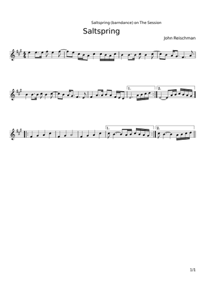 Salt Spring – John Reischman Sheet Music and Tab with Chords for Guitar ...