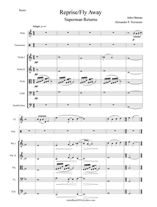 Fly Away (Arr. Alexandre Travassos) - John Ottman (Chamber Orchestra)