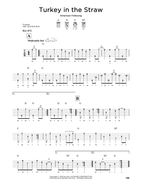 Turkey In The Straw - American Folksong (Banjo)