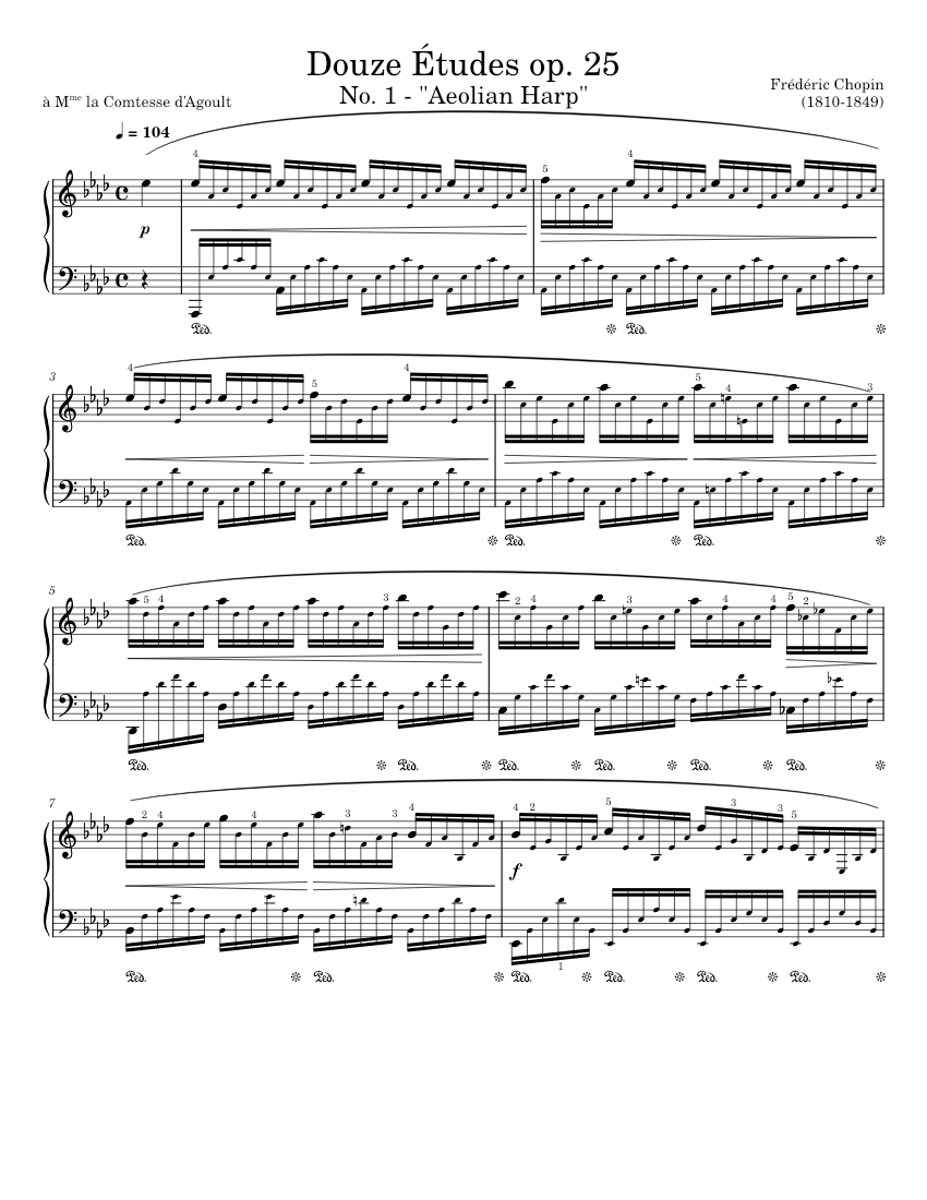 Douze Études, op. 25 (full) Sheet Music for Piano (Solo