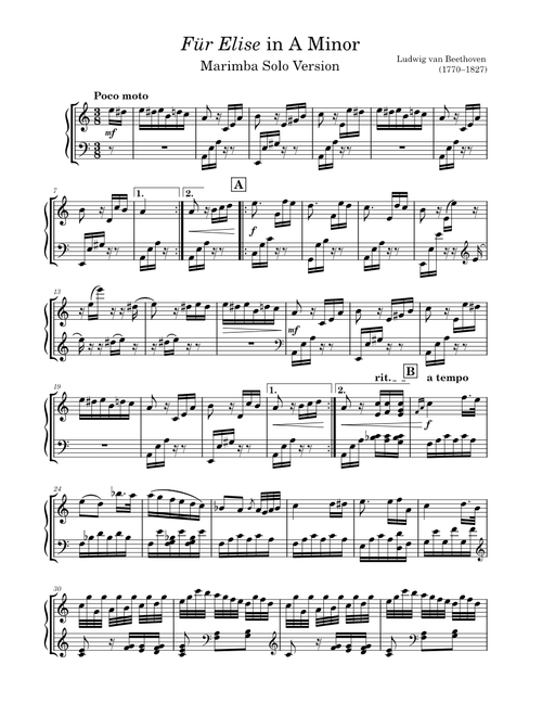 Beethoven - Fur Elise (Marimba Solo Version)