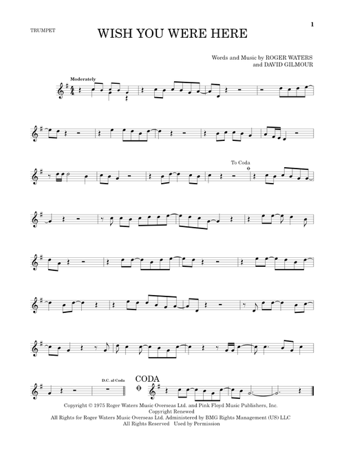 Wish You Were Here - Pink Floyd (Trumpet Solo)