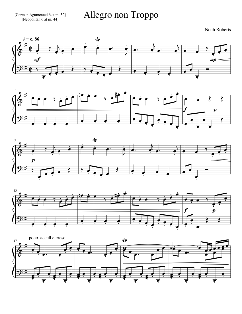 Allegro Non Troppo Sheet music for Piano (Solo)