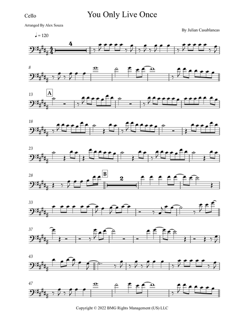 You Only Live Once (Arr. Alex Souza) - The Strokes (Cello Solo)