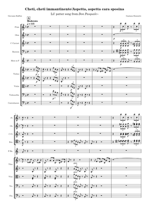 オペラ ヴォーカルスコア DON PASQUALE オペラ ヴォーカルスコア