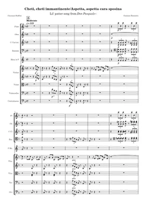 Don Pasquale – Gaetano Donizetti : Overture Sheet Music for Don Pasquale – Gaetano Donizetti : Overture Sheet Music for