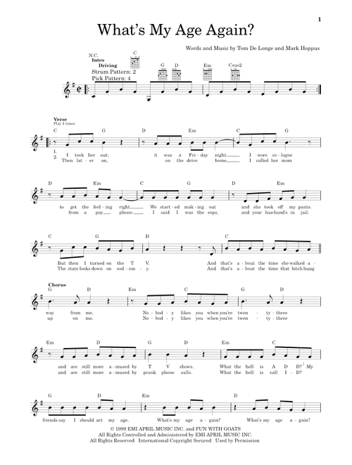 What's My Age Again? - Blink-182 (Easy Guitar)