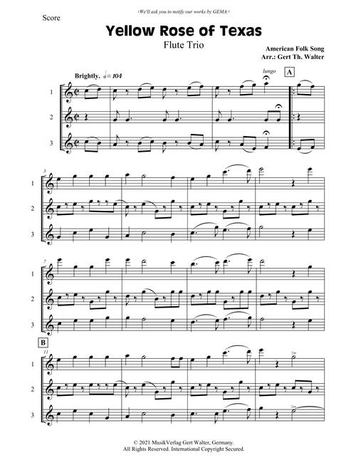 Yellow Rose of Texas (Arr. Gert Th. Walter) - American Folk Song (Woodwind Ensemble)