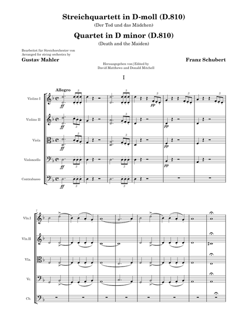 String Quartet In D Minor, D. 810 Death and The Maiden – Franz Schubert (arr. for string orchestra)