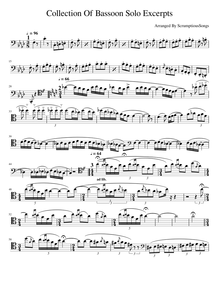 Various Classical Bassoon Solo Excerpts Sheet music for Bassoon (Solo)