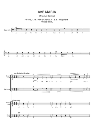 Ave Maria – Franz Biebl SAA/TTBB Sheet Music for Synthesizer (Mixed ...
