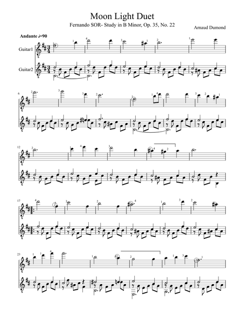 Moonlight Sonata - Ludwig van Beethoven