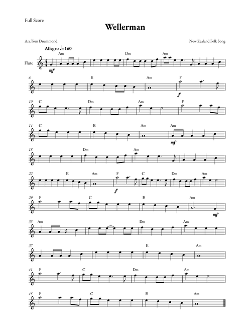 Wellerman (Arr. Tom Drummond) - New Zealand Folk Song (Flute Solo)
