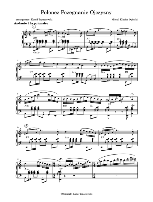 Polonez "Pożegnanie Ojczyzny" (Arr. Kamil Topaczewski) (Instrumental Solo)
