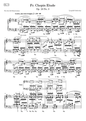 L. Godowsky - study no.1 Sheet Music for Piano (Solo L. Godowsky - study no.1 Sheet Music for Piano (Solo